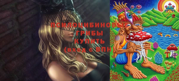 прущая мука Новозыбков